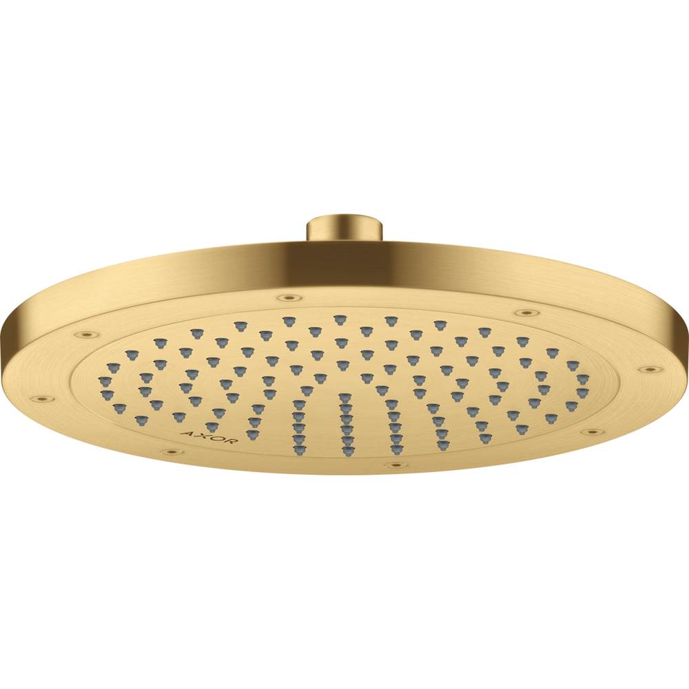 Axor ShowerSolutions Showerhead 245 1-Jet, 2.5 GPM in Brushed Gold Optic